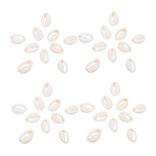 Anneome 2 Packungen Natürliche Spiralförmige Cowrie Muschel Anhänger Handgefertigte Muschelperlen für Schmuckherstellung DIY Stranddeko Nachhaltige Bastelmaterialien Anneome 2 Packungen Natürliche Spiralförmige Cowrie Muschel Anhänger Handgefertigte Muschelperlen für Schmuckherstellung DIY Stranddeko Nachhaltige Bastelmaterialien von Anneome
