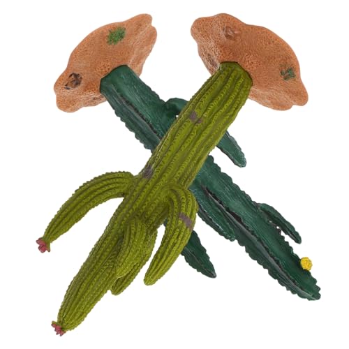 Anneome 2 Stück Künstliche Kaktuspflanzen Kaktus Holzfigur Miniatur Kaktus Garten Tank Kaktus Kaktus Miniaturfiguren Gefälschter Kaktus Künstliches Aquarium Kaktus Anneome 2 Stück Künstliche Kaktuspflanzen Kaktus Holzfigur Miniatur Kaktus Garten Tank Kaktus Kaktus Miniaturfiguren Gefälschter Kaktus Künstliches Aquarium Kaktus von Anneome