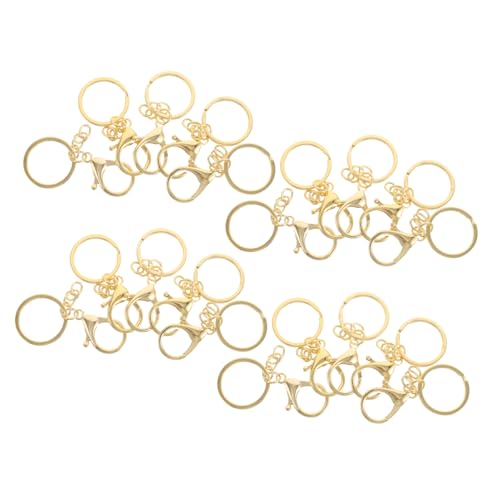 Anneome 20 Stück Teiliges Metall Lobster Karabiner mit Kette Robuste Schlüsselanhängerclips aus Eisen Kleine Schlüsselringe für DIY Schmuckherstellung und Bastelbedarf Sicherer Verschluss Anneome 20 Stück Teiliges Metall Lobster Karabiner mit Kette Robuste Schlüsselanhängerclips aus Eisen Kleine Schlüsselringe für DIY Schmuckherstellung und Bastelbedarf Sicherer Verschluss von Anneome