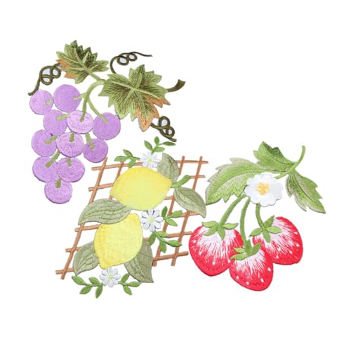 Anneome 3 Stück Obst Stickapplikationen Nähpatches für Kleidung Jacken Dekoration Erdbeere Zitrone Traube Einfache Anwendung für Diy Projekte und Reparaturen von Anneome