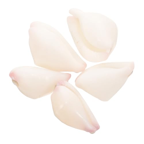 Anneome 5 Stück Natürliche Muschelperlen für Diy Schmuck Basteln Dekoration für Armbänder und Aquarien Leicht und Tragbar Handwerksmaterial für Kreative Projekte von Anneome