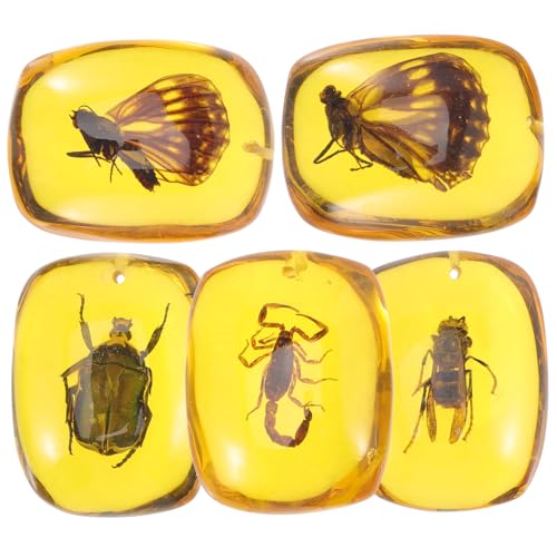 Anneome 5 Stück Teiliges Insektenanhänger aus Bernstein für DIY Schmuckherstellung Natürliche Insektenproben für Kreative und Ohrringe für Dekoration und von Anneome