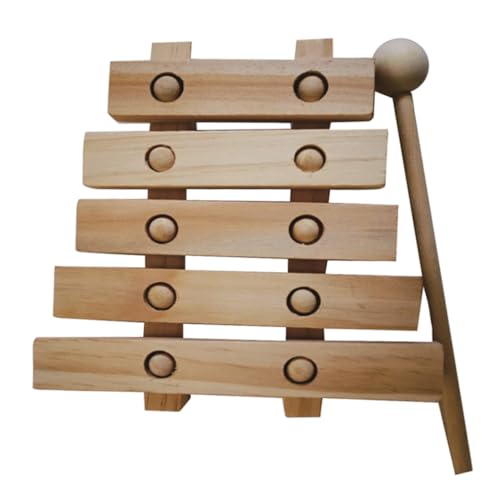 Anneome Holz Xylophon DIY Malerei Unfertiges Musikinstrument für Handwerk und Pädagogisches Musikverständnis und Kreativität von Anneome