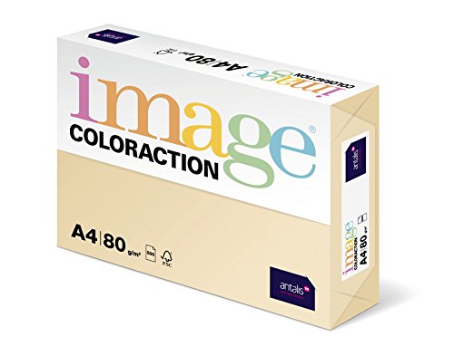 Coloraction 838A 080S 2 - Antalis Kopierpapier, DIN A4, 80 g/qm, Farbe:dune von Antalis