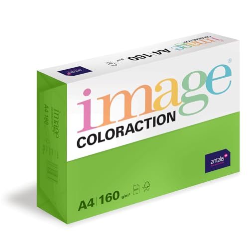 Image Coloraction Java - farbiges Kopierpapier - DIN A4, 210 x 297 mm, 160 g/m² - buntes, holzfreies Druckerpapier für Kopierer - 250 Blatt - Maigrün von Antalis