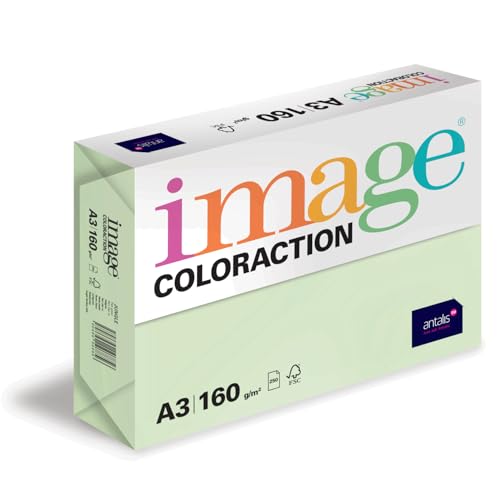Image Coloraction Jungle - farbiges Kopierpapier - DIN A4, 210 x 297 mm, 160 g/m² - buntes, holzfreies Druckerpapier für Kopierer - 250 Blatt - Hellgrün Image Coloraction Jungle - farbiges Kopierpapier - DIN A4, 210 x 297 mm, 160 g/m² - buntes, holzfreies Druckerpapier für Kopierer - 250 Blatt - Hellgrün von Antalis
