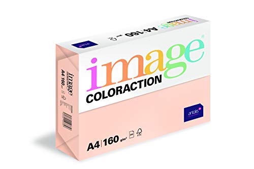 Image Coloraction Savana - farbiges Kopierpapier - DIN A4, 210 x 297 mm, 160 g/m² - buntes, holzfreies Druckerpapier für Kopierer - 250 Blatt - Salm von Antalis