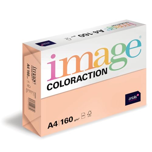 Image Coloraction Savana - farbiges Kopierpapier - DIN A4, 210 x 297 mm, 160 g/m² - buntes, holzfreies Druckerpapier für Kopierer - 250 Blatt - Salm von Antalis