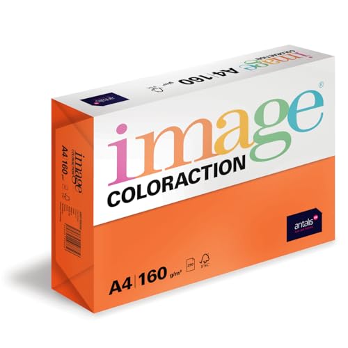 Image Coloraction Amsterdam - farbiges Kopierpapier - DIN A4, 210 x 297 mm, 160 g/m² - buntes, holzfreies Druckerpapier für Kopierer - 250 Blatt - Orange von IMAGE