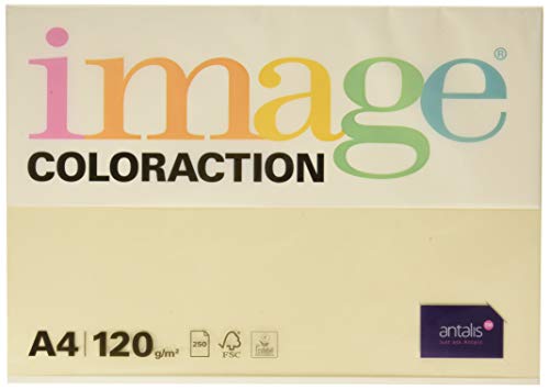 Image Coloraction Dune - farbiges Kopierpapier - DIN A4, 210 x 297 mm, 120 g/m² - buntes, holzfreies Druckerpapier für Kopierer - 250 Blatt - Creme von Antalis