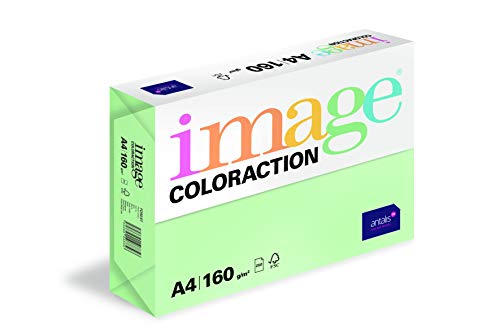 Image Coloraction Forest - farbiges Kopierpapier - DIN A4, 210 x 297 mm, 160 g/m² - buntes, holzfreies Druckerpapier für Kopierer - 250 Blatt - Grün von IMAGE