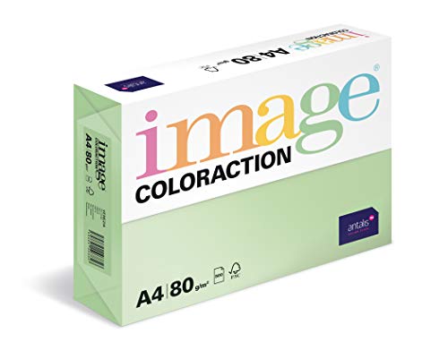 Image Coloraction Forest - farbiges Kopierpapier - DIN A4, 210 x 297 mm, 80 g/m² - buntes, holzfreies Druckerpapier für Kopierer - 500 Blatt - Grün von Antalis