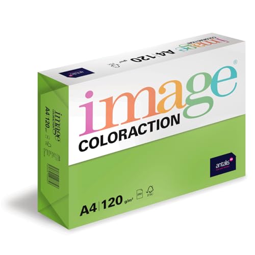 Image Coloraction Java - farbiges Kopierpapier - DIN A4, 210 x 297 mm, 120 g/m² - buntes, holzfreies Druckerpapier für Kopierer - 250 Blatt - Maigrün von IMAGE