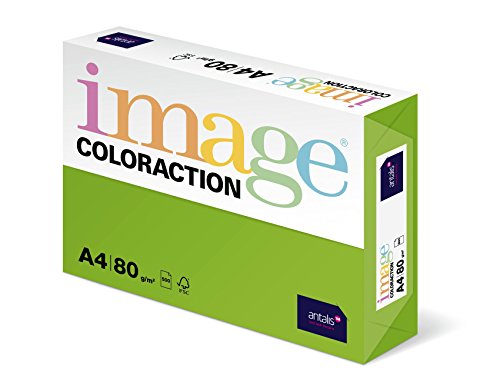 Image Coloraction Java - farbiges Kopierpapier - DIN A4 210 x 297 mm, 80 g/m² - buntes, holzfreies Druckerpapier für Kopierer - 500 Blatt - Maigrün von IMAGE