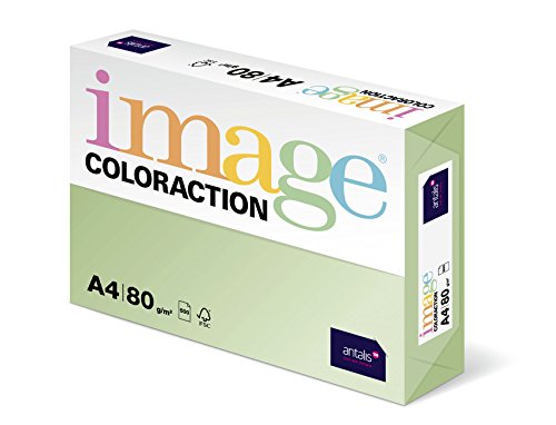 Image Coloraction Jungle - farbiges Kopierpapier - DIN A4, 210 x 297 mm, 80 g/m² - buntes, holzfreies Druckerpapier für Kopierer - 500 Blatt - Hellgrün von IMAGE