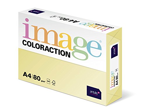 Image Coloraction Atoll - farbiges Kopierpapier - DIN A4, 210 x 297 mm, 80 g/m² - buntes, holzfreies Druckerpapier für Kopierer - 500 Blatt - Elfenbeinfarben von IMAGE