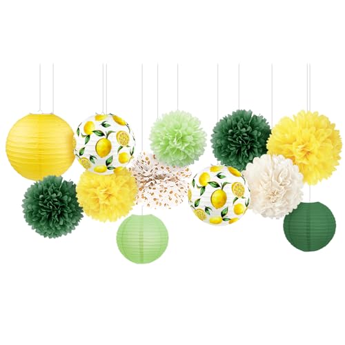 AOBKIAT Geburtstagsparty-Dekorationsset, 12 Stück, gelb-grünes Zitronenmuster, Papierlaternen und Pompons, Blumen für neutrale Babyparty, Brautparty, Sommerhochzeit, Gartenparty AOBKIAT Geburtstagsparty-Dekorationsset, 12 Stück, gelb-grünes Zitronenmuster, Papierlaternen und Pompons, Blumen für neutrale Babyparty, Brautparty, Sommerhochzeit, Gartenparty von Aobkiat