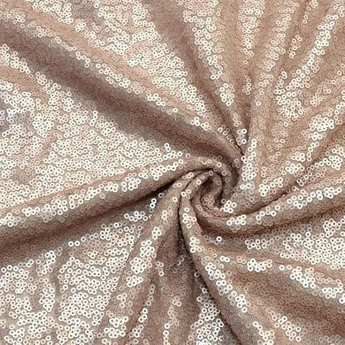 Pailletten-Mesh-Stoff, 50 cm, hellbraun, Polsterstoff mit Pailletten, 1,3 m, glitzernd, glitzernd, für Glitzerkleidung, DIY-Dekoration Pailletten-Mesh-Stoff, 50 cm, hellbraun, Polsterstoff mit Pailletten, 1,3 m, glitzernd, glitzernd, für Glitzerkleidung, DIY-Dekoration von Aoktorkit