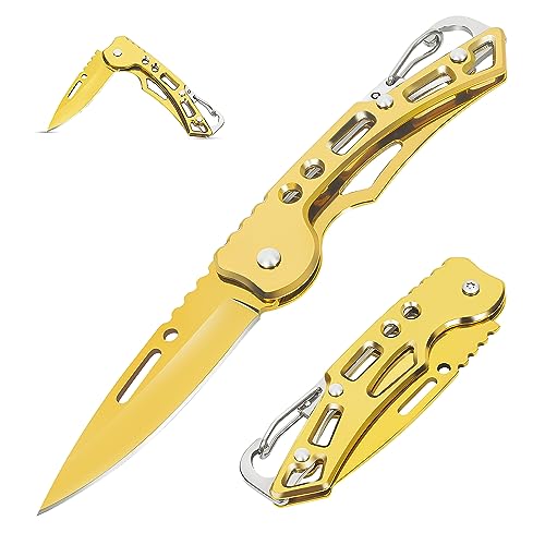 Aolegoo 2 Stück Taschenmesser Klappmesser, Schlüsselanhänger Minimesser, EDC Messer für Outdoor Camping (Gelb) von Aolegoo