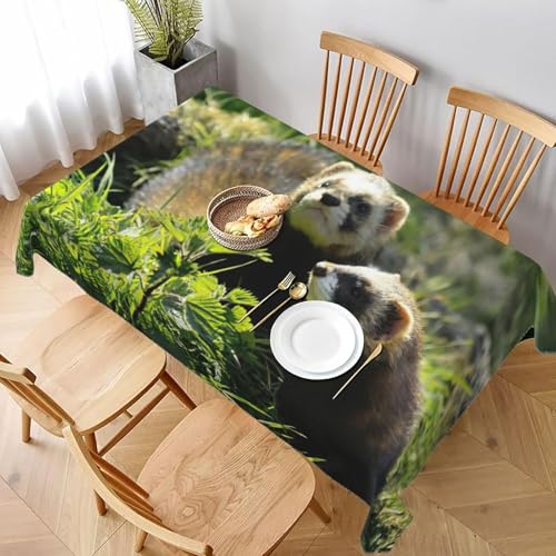Tischdecke Abwaschbar Frettchen Outdoor Rechteckig 100x140 cm 3D Tischdecken Wilde Tiere, Tischtuch Ornamente Polyester Gartentischdecke 140x100 Tischwäsche Wetterfest a-1963 Tischdecke Abwaschbar Frettchen Outdoor Rechteckig 100x140 cm 3D Tischdecken Wilde Tiere, Tischtuch Ornamente Polyester Gartentischdecke 140x100 Tischwäsche Wetterfest a-1963 von Aozhiswe