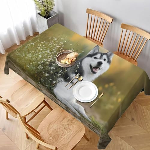 Tischdecke Abwaschbar Husky-Hund Rechteckig 140x280 cm 3D Tischdecken Hund Tier, Tischtuch Ornamente Polyester Gartentischdecke 280x140 Tischwäsche Küche Party a-217 Tischdecke Abwaschbar Husky-Hund Rechteckig 140x280 cm 3D Tischdecken Hund Tier, Tischtuch Ornamente Polyester Gartentischdecke 280x140 Tischwäsche Küche Party a-217 von Aozhiswe