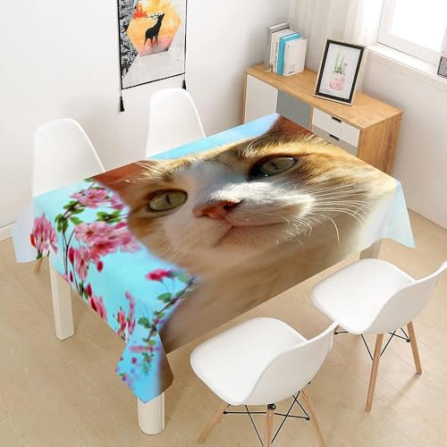 Tischdecke Abwaschbar Katze Outdoor Rechteckig 140x280 cm 3D Tischdecken Niedliche Haustiere, Tischtuch Ornamente Polyester Gartentischdecke 280x140 Tischwäsche Wetterfest a-7287 Tischdecke Abwaschbar Katze Outdoor Rechteckig 140x280 cm 3D Tischdecken Niedliche Haustiere, Tischtuch Ornamente Polyester Gartentischdecke 280x140 Tischwäsche Wetterfest a-7287 von Aozhiswe