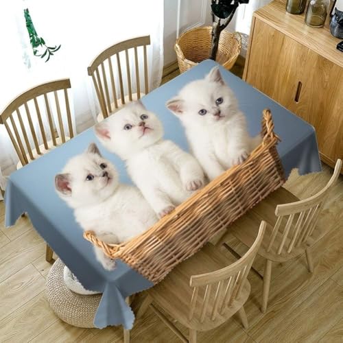 Tischdecke Abwaschbar Katzen Outdoor Rechteckig 140x280 cm 3D Tischdecken Haustiere, Tischtuch Ornamente Polyester Gartentischdecke 280x140 Tischwäsche Wetterfest a-917 von Aozhiswe