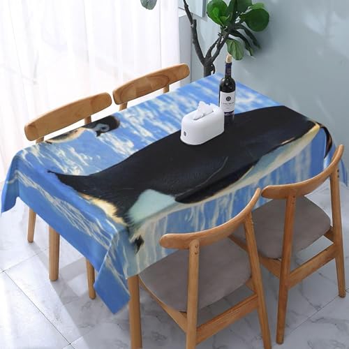 Tischdecke Abwaschbar Pinguine Outdoor Quadratisch 140x140 cm 3D Tischdecken Antarktisches Tier, Tischtuch Ornamente Polyester Gartentischdecke 140 x 140 Tischwäsche Wetterfest a-4814 von Aozhiswe