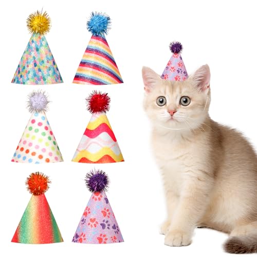 6 Stück Partyhüte Geburtstag,Partyhüte für Kuscheltiere Bunt Geburtstagshut für Hunde Und Katzen Partyhüten Mit Pompon und Glitzerdetails Kleine Kegelhüte mit Glitzer Pompons Kindergeburtstagszubehör 6 Stück Partyhüte Geburtstag,Partyhüte für Kuscheltiere Bunt Geburtstagshut für Hunde Und Katzen Partyhüten Mit Pompon und Glitzerdetails Kleine Kegelhüte mit Glitzer Pompons Kindergeburtstagszubehör von Apausvcm