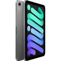 Apple iPad mini Wi-Fi (A17 Pro) (2024) 21,1 cm (8,3 Zoll) 128 GB spacegrau von Apple