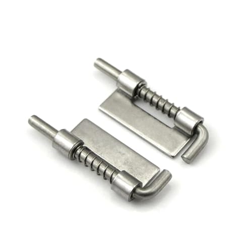 GUYTRM 1 paar 304 Edelstahl Geladen Scharnier Sicherheit Frühling Bolzen Barrel Latch Schrank lingli von Aqxyxsw