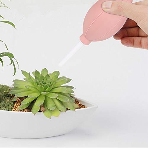 Aramox Staubgebläse, Resistent Gegen Extreme Temperaturen, Verhindert Alterung, Multifunktionales Werkzeug, Ergonomisches und Effizientes Kratzerdesign, Geeignet für Pflanzen und Kameras mit Aramox Staubgebläse, Resistent Gegen Extreme Temperaturen, Verhindert Alterung, Multifunktionales Werkzeug, Ergonomisches und Effizientes Kratzerdesign, Geeignet für Pflanzen und Kameras mit von Aramox