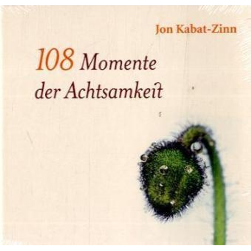 108 Momente Der Achtsamkeit - Jon Kabat-Zinn, Gebunden von Arbor-Verlag