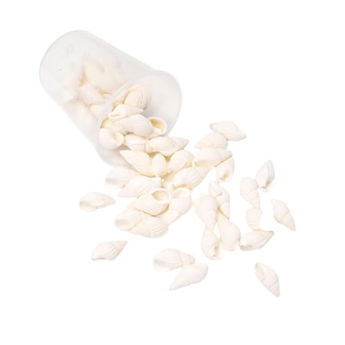 Handgefertigte Muschelperlen, kreatives Bastelzubehör, Muscheln, Schmuckkomponente für Accessoires und Ornamente, Marine-inspirierte Bastelmuscheln von Arecobticy