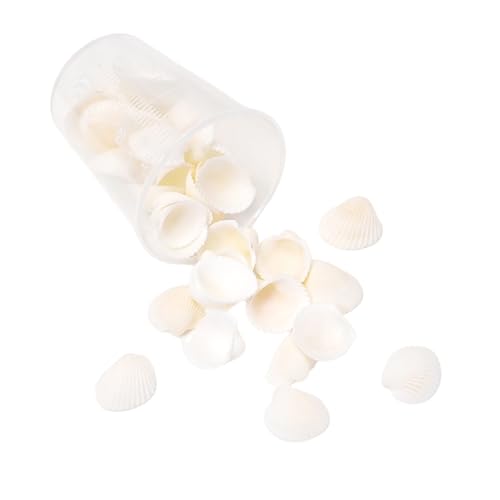 Handgefertigte Muschelperlen, kreatives Bastelzubehör, Muscheln, Schmuckkomponente für Accessoires und Ornamente, Marine-inspirierte Bastelmuscheln von Arecobticy