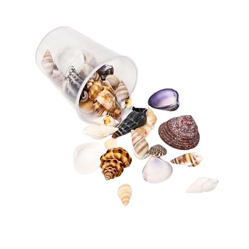 Handgefertigte Muschelperlen, kreatives Bastelzubehör, Muscheln, Schmuckkomponente für Accessoires und Ornamente, Marine-inspirierte Bastelmuscheln von Arecobticy