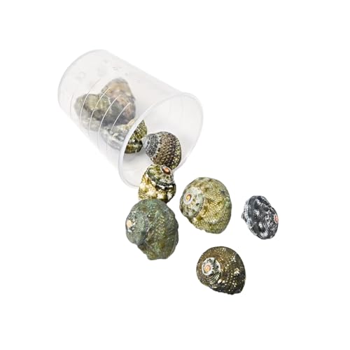 Handgefertigte Muschelperlen, kreatives Bastelzubehör, Muscheln, Schmuckkomponente für Accessoires und Ornamente, Marine-inspirierte Bastelmuscheln von Arecobticy