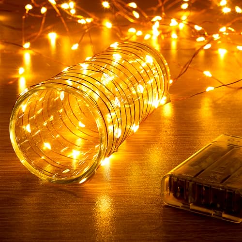 Ariceleo 5 Meters LED Lichterkette - 1 Packungen, Warmweiß, 50 LEDs, 3*AA batteriebetrieben mit Timer und Funkelmodus, ideal für Weihnachten und Hochzeiten Ariceleo 5 Meters LED Lichterkette - 1 Packungen, Warmweiß, 50 LEDs, 3*AA batteriebetrieben mit Timer und Funkelmodus, ideal für Weihnachten und Hochzeiten von Ariceleo