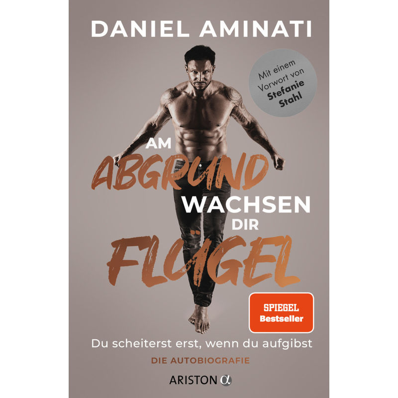 Am Abgrund Wachsen Dir Flügel - Daniel Aminati, Kartoniert (TB) von Ariston