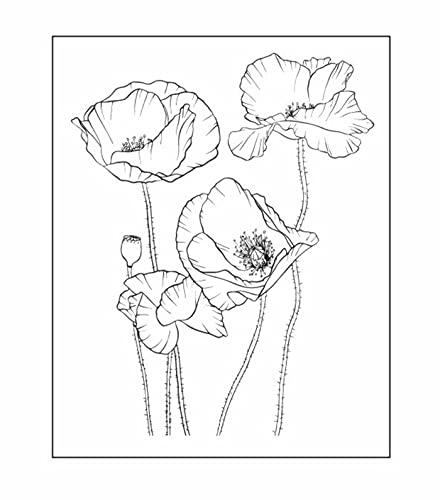 Arrietty Kunstvolle Blumen, Mohnblumen, klarer Stempel, Siegel, Scrapbook, Fotoalbum, dekorative Karten, klare Stempel von Arrietty
