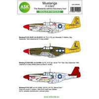 P-51B Mustang - The Bastards behind the enemy lines! P-51B Mustang - The Bastards behind the enemy lines! von Art Scale Kit