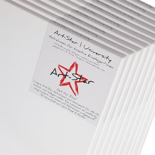 Art-Star 10x University KEILRAHMEN 20x30 cm | Leinwände auf Keilrahmen 20x30 cm | Leinwandtuch vorgrundiert, malfertige bespannte rechteckige Keilrahmen mit Leinwand zum malen von Art-Star