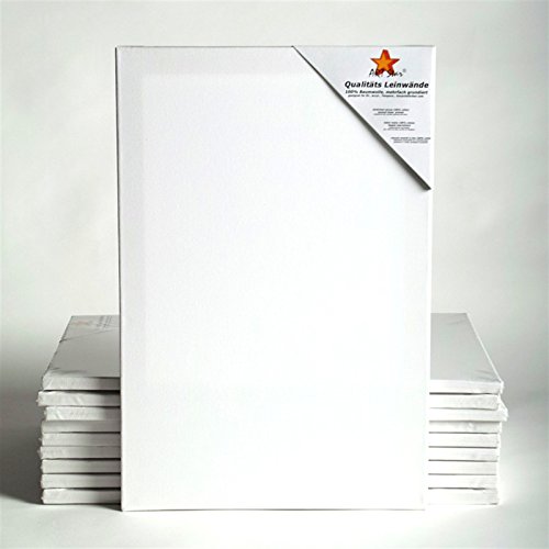 Art-Star 10x University KEILRAHMEN 50x60 cm | Leinwände auf Keilrahmen 50x60 cm | Leinwandtuch vorgrundiert, malfertige bespannte rechteckige Keilrahmen mit Leinwand zum bemalen von Art-Star