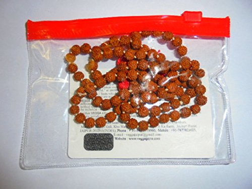 Artcollectibles India Rudraksha 5 Mukhi Gesicht Rudraksh Mala 6 mm 108 Perlen zertifiziert energetisiert Yoga Artcollectibles India Rudraksha 5 Mukhi Gesicht Rudraksh Mala 6 mm 108 Perlen zertifiziert energetisiert Yoga von Artcollectibles India