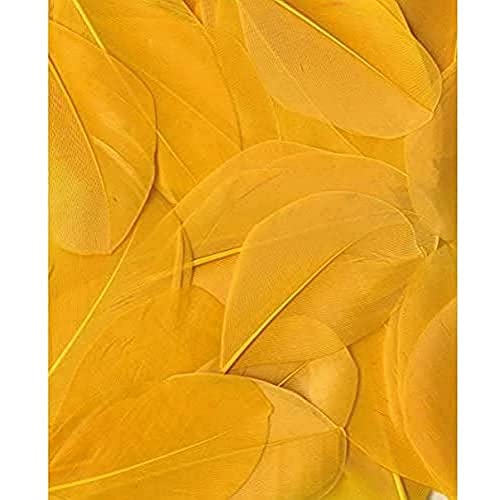 Artemio Federn – Gelb – Sachet de 3 g – geglättet, 3 gr Artemio Federn – Gelb – Sachet de 3 g – geglättet, 3 gr von Artemio