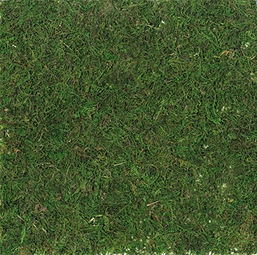Artemio Quadratische Kunstrasenfliese, Grün von Artemio