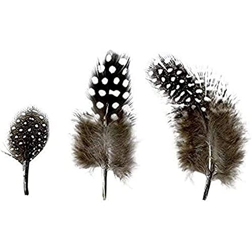 Artémio Federn – Natur 3 g – Länge – LG 4 bis 8 cm Artémio Federn – Natur 3 g – Länge – LG 4 bis 8 cm von Artémio