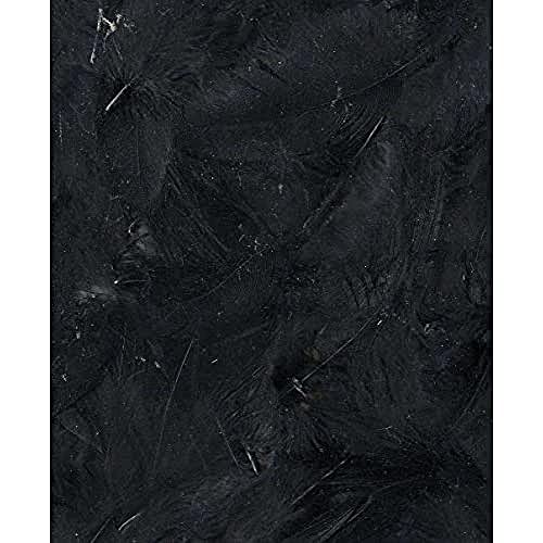 Artémio Federn-schwarz-Säckchen 3 g-Ébouriffées Lg 8 bis 12 cm-Dekovögel von Artemio