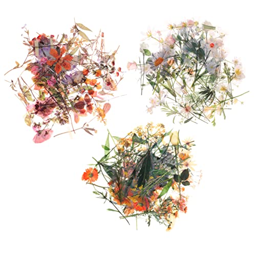 ARTIBETTER 120 Stück Teiliges Transparente Blumen Scrapbooking Aufkleber aus Wasserdichtem Pet Vintage Pflanzenmotive für Diy Hand Account Album Sticker Kreative Dekoration für Tagebücher und ARTIBETTER 120 Stück Teiliges Transparente Blumen Scrapbooking Aufkleber aus Wasserdichtem Pet Vintage Pflanzenmotive für Diy Hand Account Album Sticker Kreative Dekoration für Tagebücher und von Artibetter