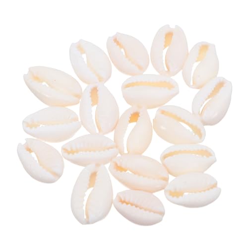 ARTIBETTER 2 Packungen Natürlicher Muschelanhänger Vasenfüller Muscheln Vasenfüller Muschelanhänger Muschel Muschelmaterial Kauri Muschel von Artibetter